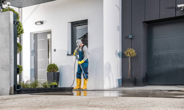 Best Soft Washing  in Morongo Valley, CA